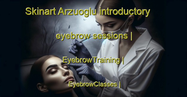 Skinart Arzuoglu introductory eyebrow sessions | EyebrowTraining | EyebrowClasses | SkinartTraining-Turkey